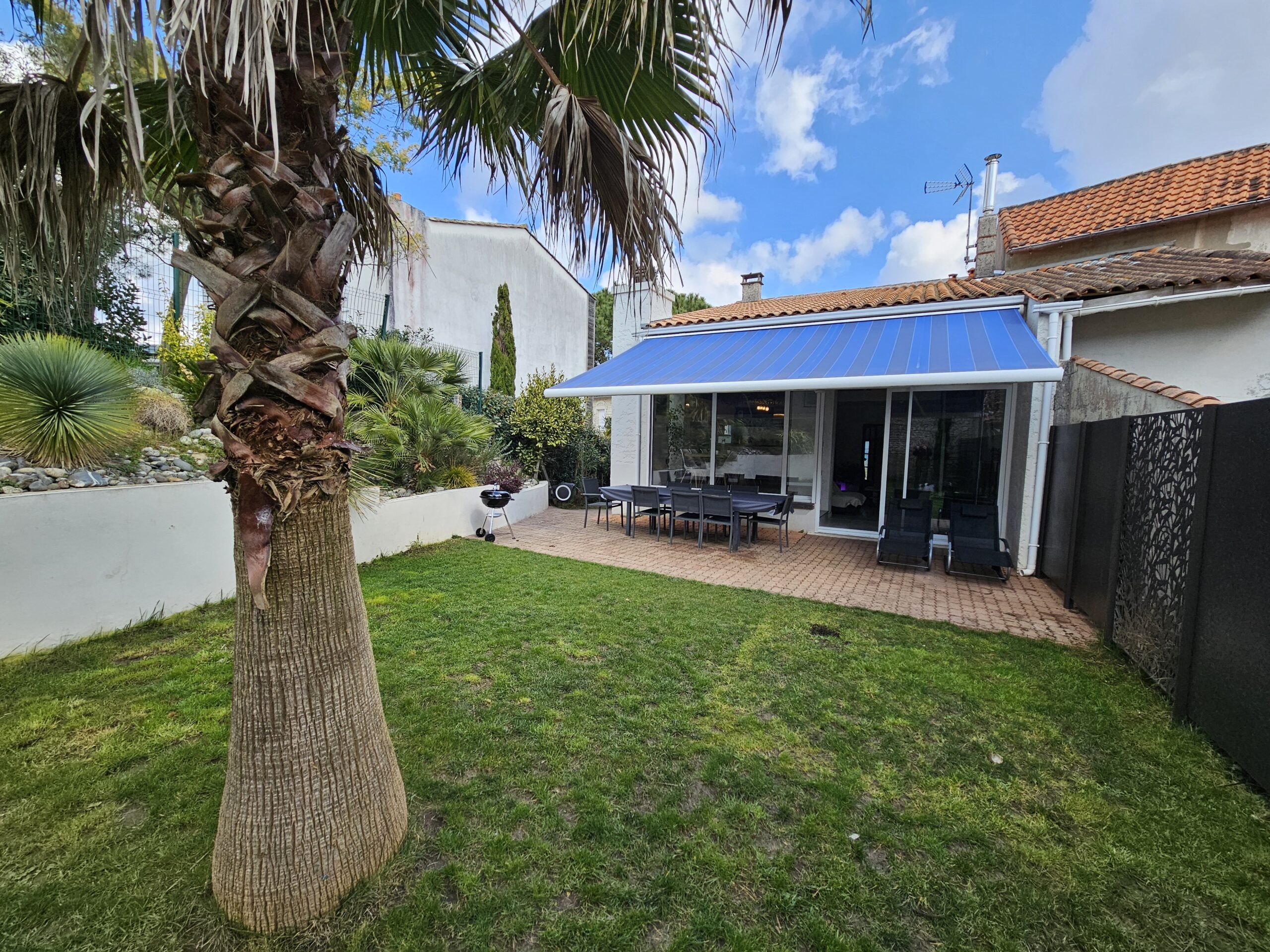 Le jardin est composé d'une quinzaine de palmiers dont un énorme au milieu du jardin.